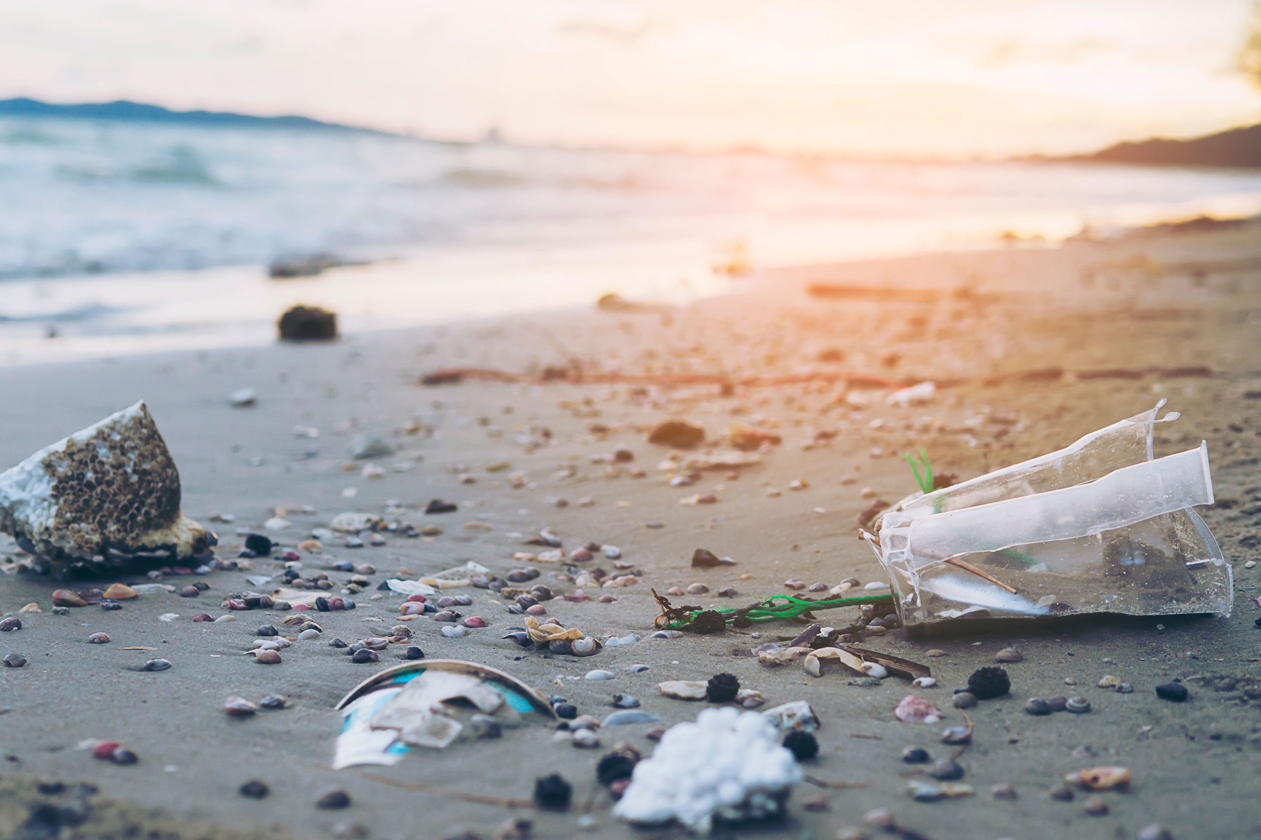 Arranca o proxecto Moaña Libre de Plásticos